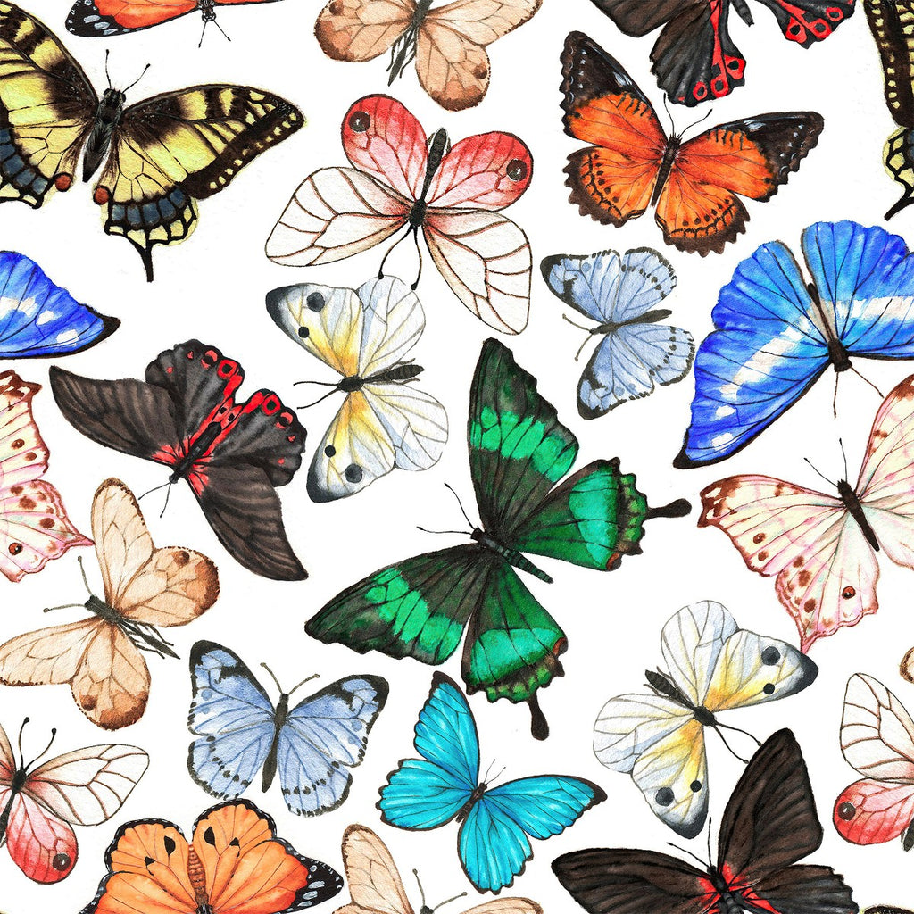 Butterflies Wallpaper  uniQstiQ Kids