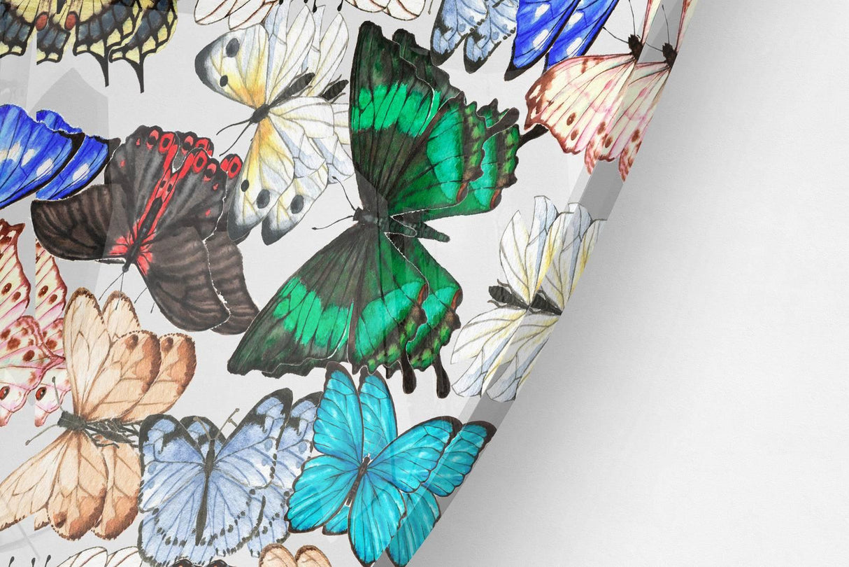Butterflies Printed Transparent Acrylic Circle - uniqstiq