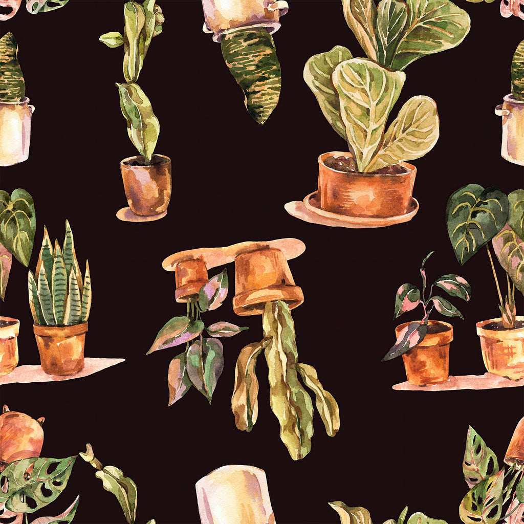 Plants in Pots Wallpaper  uniQstiQ Botanical