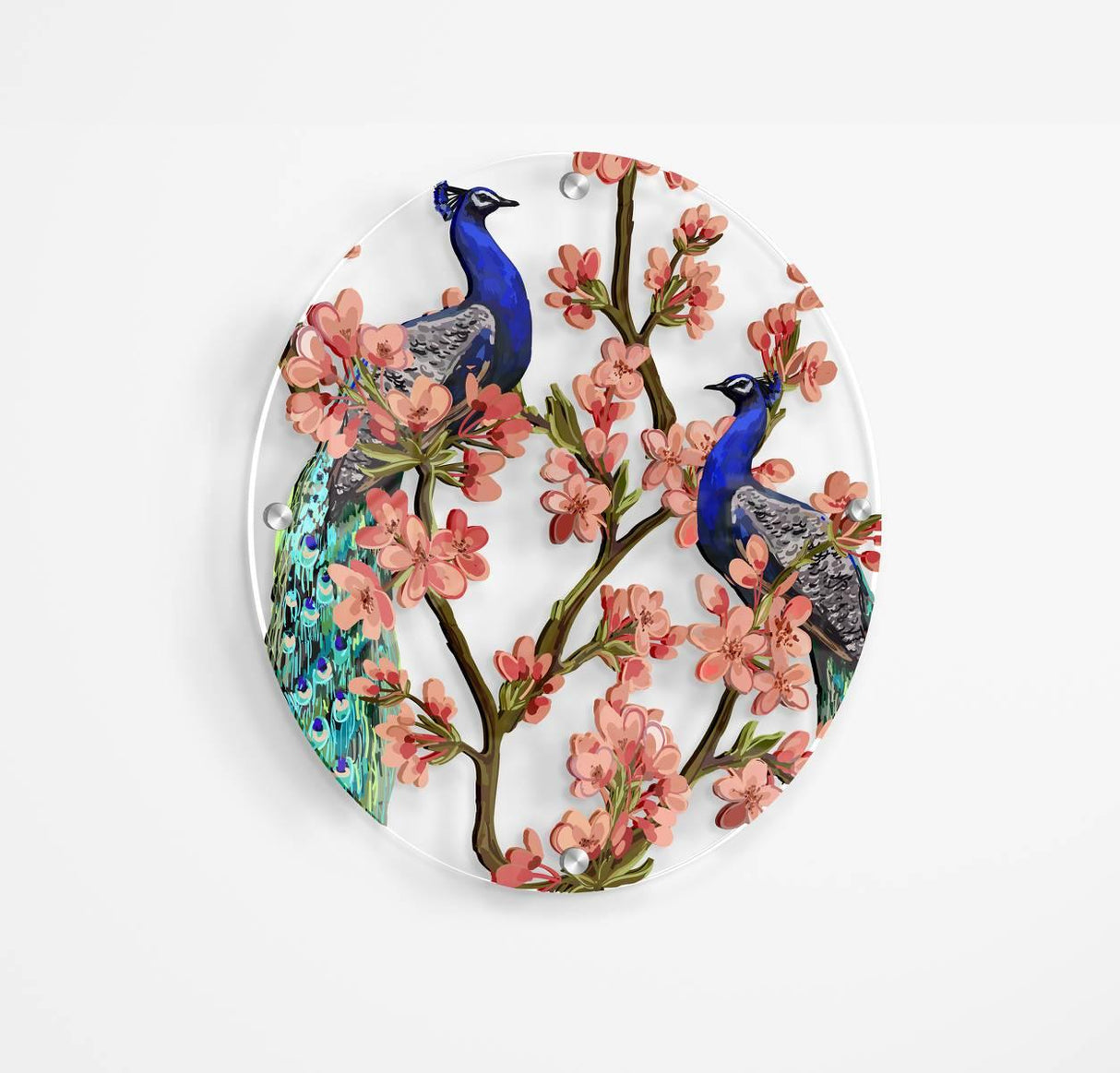 Peacocks Printed Transparent Acrylic Circle - uniqstiq