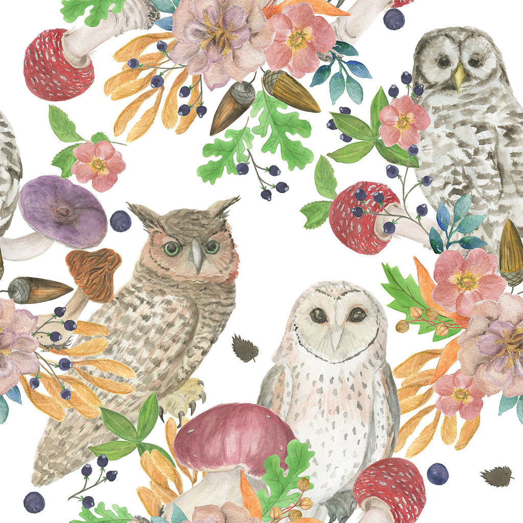 Owls and Mushrooms Wallpaper uniQstiQ Kids