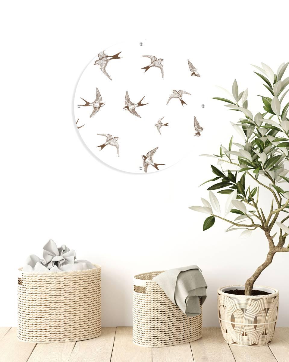 Swallows Printed Transparent Acrylic Circle - uniqstiq