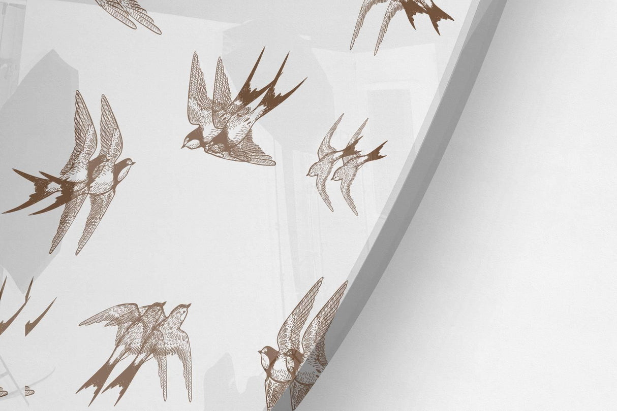Swallows Printed Transparent Acrylic Circle - uniqstiq