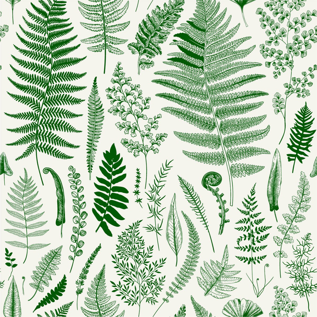 Fern's Branches Wallpaper  uniQstiQ Botanical