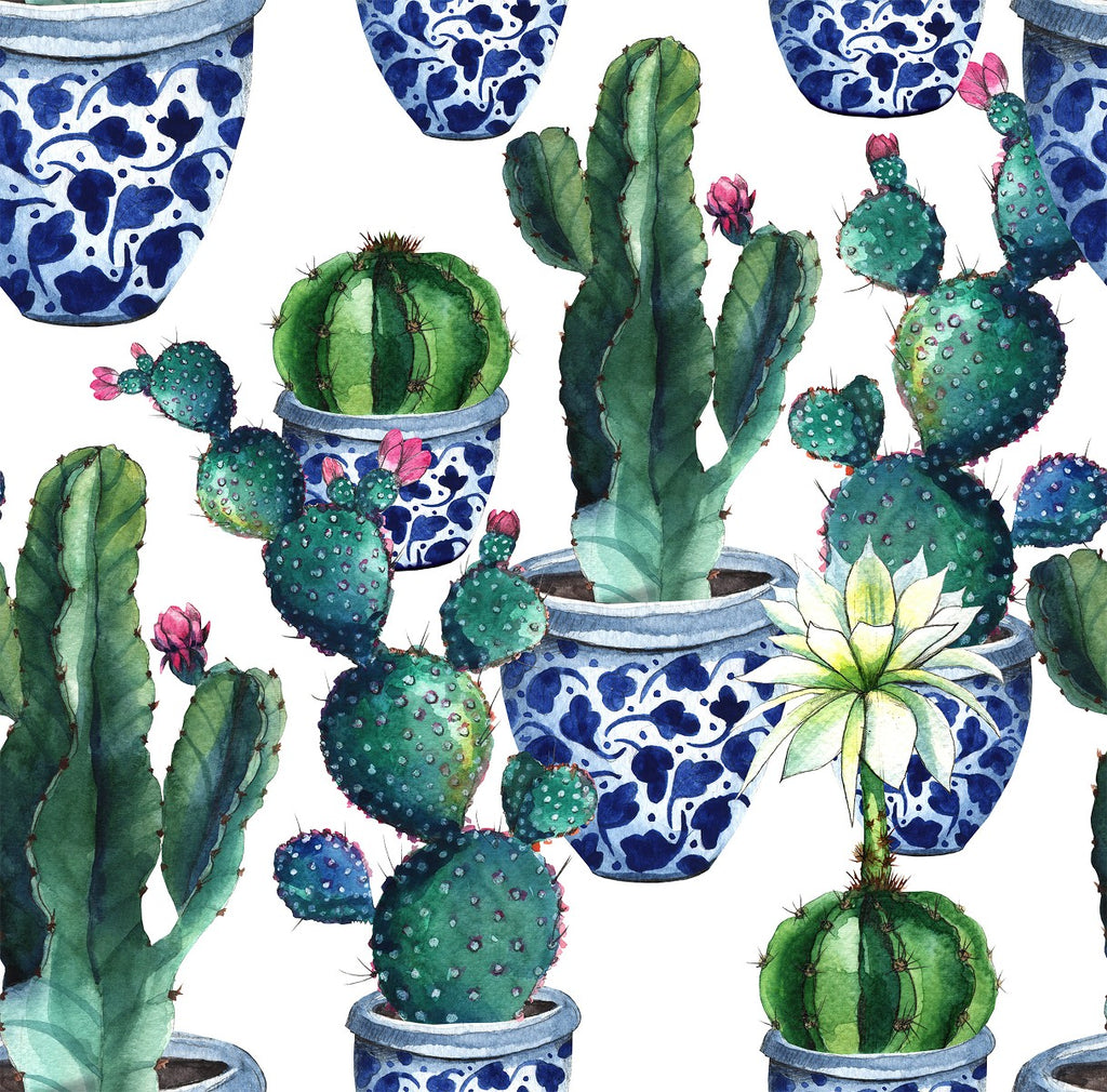 Cactus in Pot Wallpaper  uniQstiQ Tropical