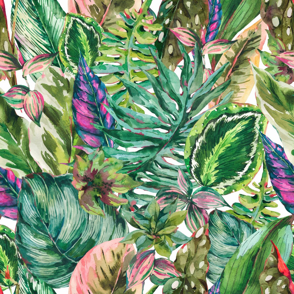 Exotic Leaves Pattern Wallpaper uniQstiQ Murals