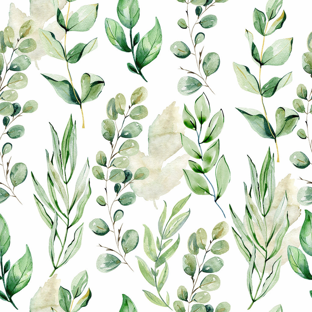 Species of Plant's Leaves Wallpaper  uniQstiQ Botanical