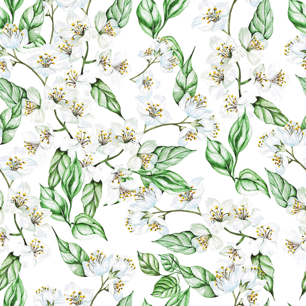Jasmine Wallpaper uniQstiQ Floral