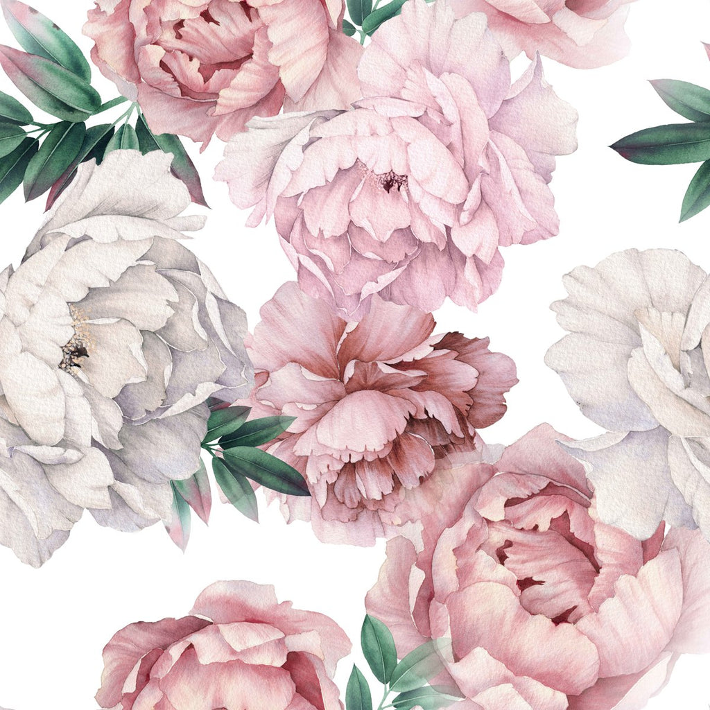 Gentle Peonies on White Background Wallpaper