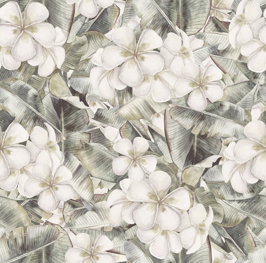 White Flowers Wallpaper uniQstiQ Floral