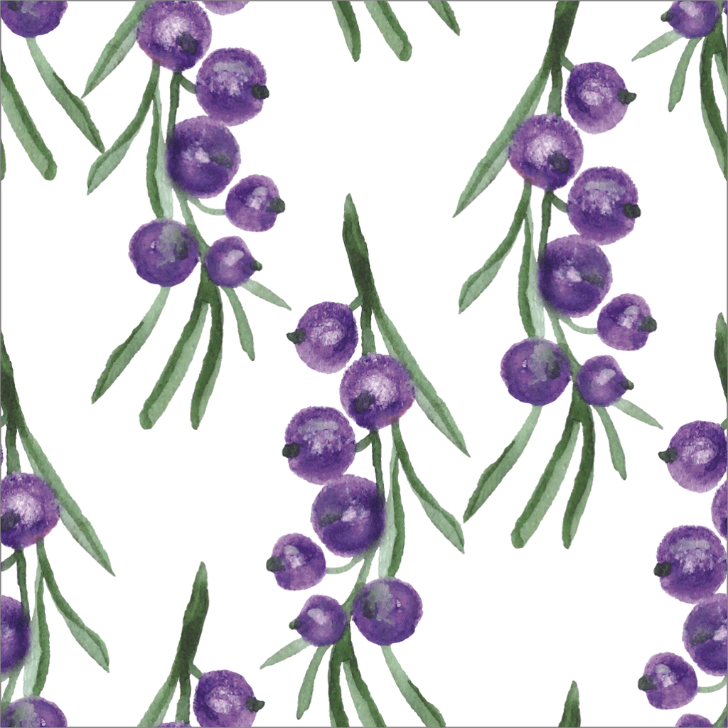 Blueberry Wallpaper  uniQstiQ Botanical