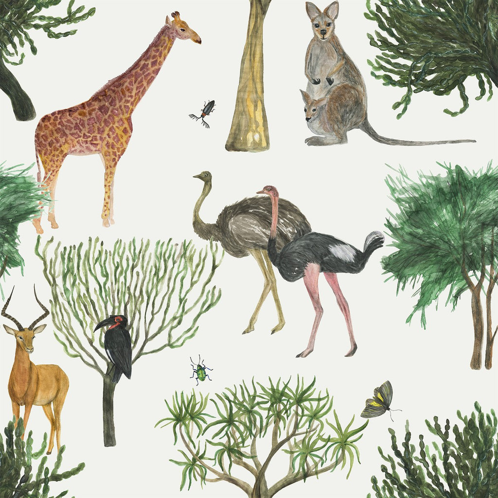 Australian Animals Wallpaper  uniQstiQ Kids