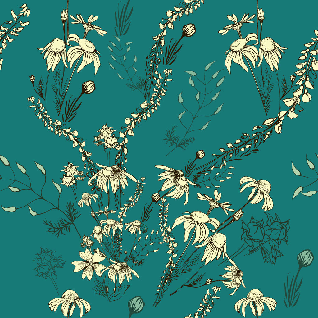 Chamomile on Green Background Wallpaper