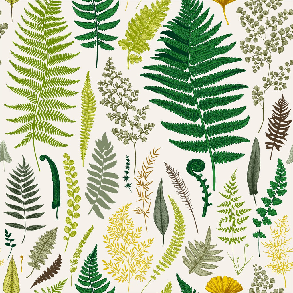 Fern Leaves Wallpaper uniQstiQ Botanical