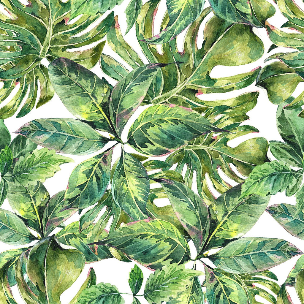 Green Plants Wallpaper  uniQstiQ Tropical