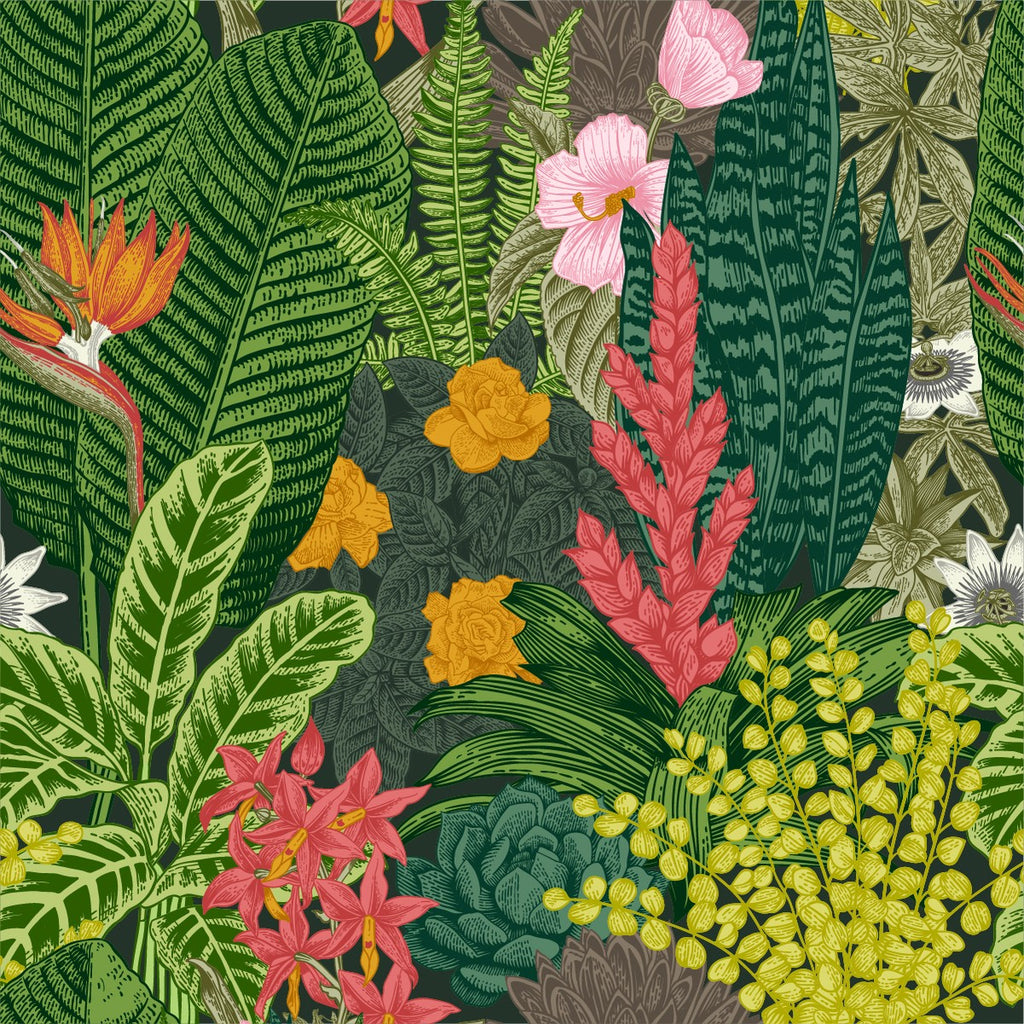 Green Exotic Plants Wallpaper  uniQstiQ Tropical