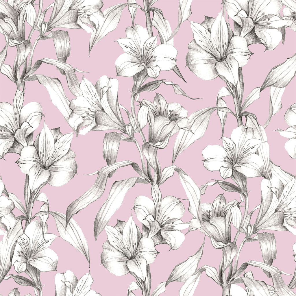 Pink Wallpaper with Alstroemeria  uniQstiQ Floral