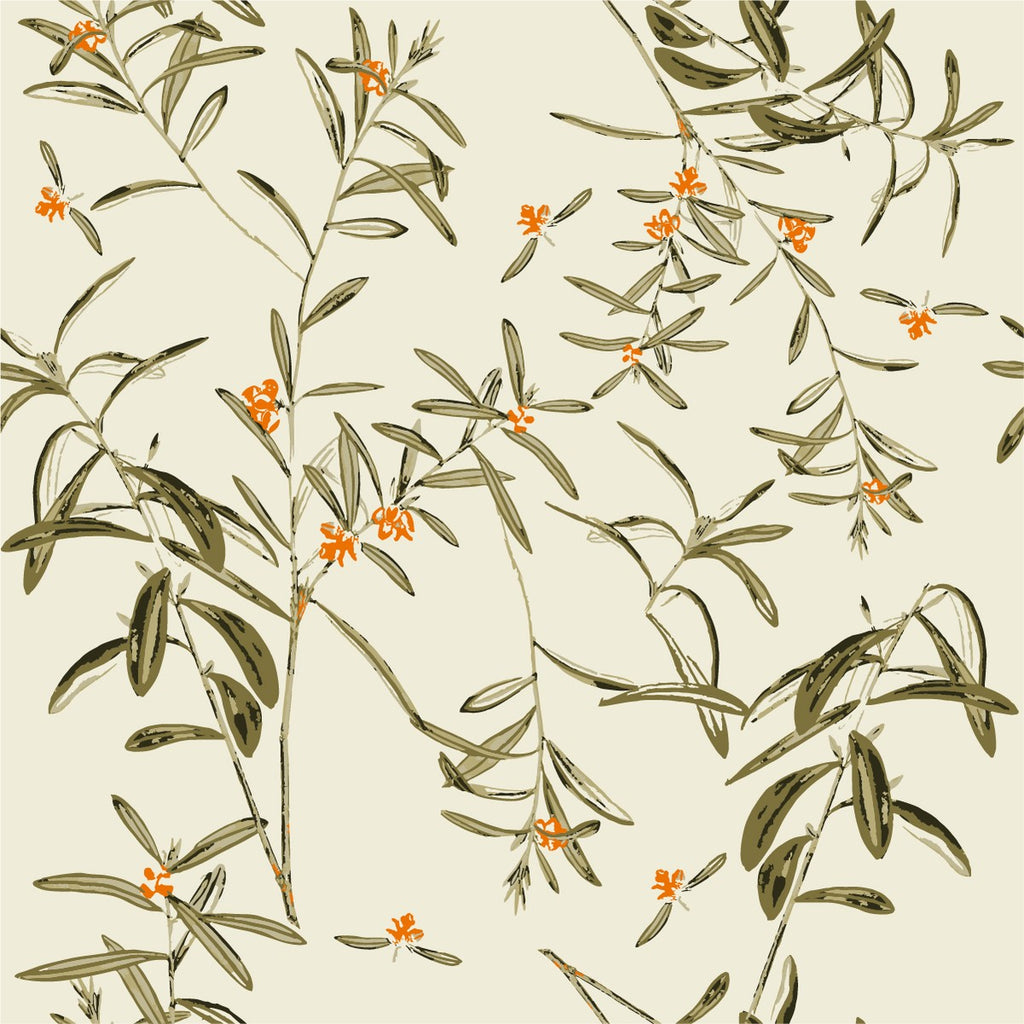Sea ??Buckthorn Wallpaper  uniQstiQ Botanical