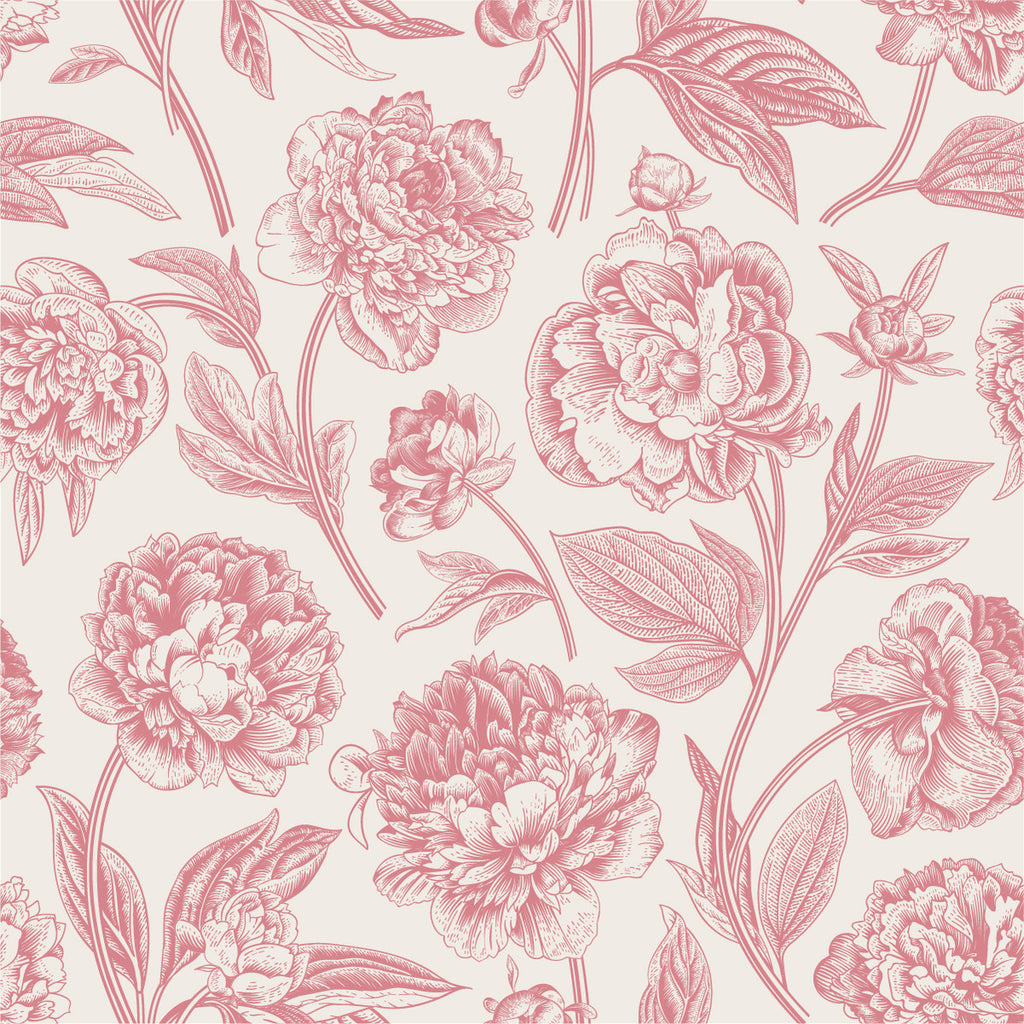 Pink Peonies Contours Wallpaper uniQstiQ Floral