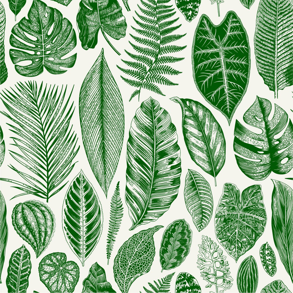 Green Leaves of Plants Wallpaper  uniQstiQ Murals