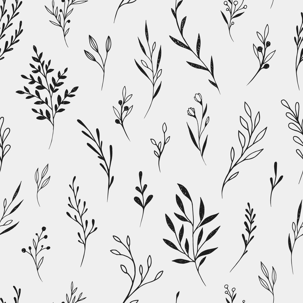 Black and White Plants Wallpaper uniQstiQ Botanical