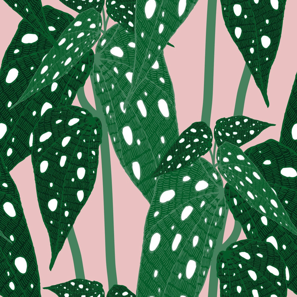 Green Plants Wallpaper  uniQstiQ Botanical