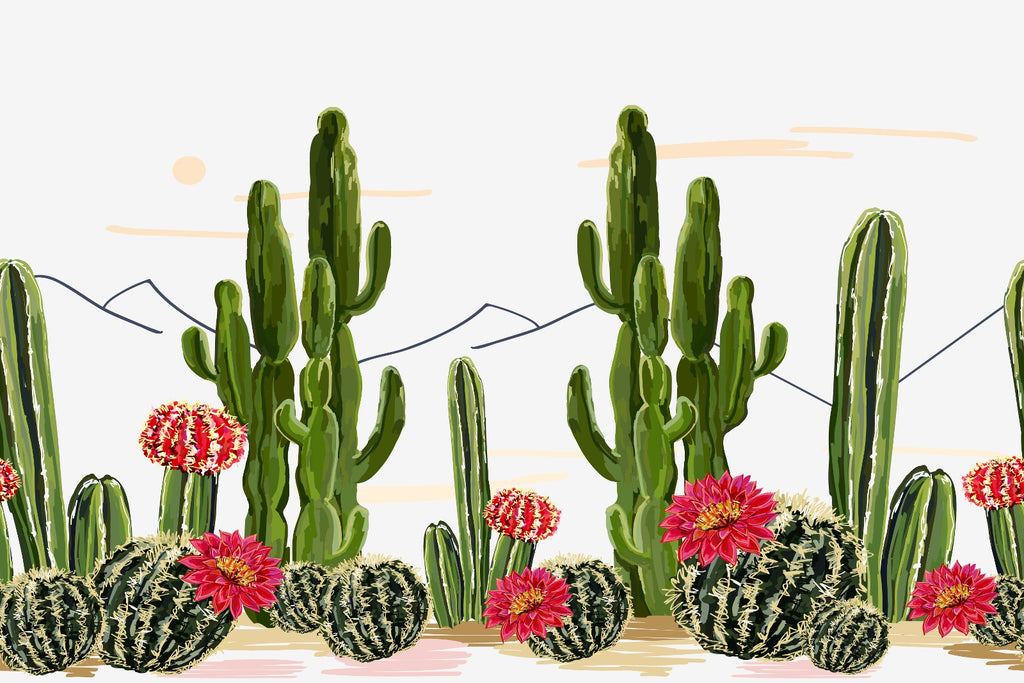 Red Cactus Flowers Wallpaper  uniQstiQ Long Murals