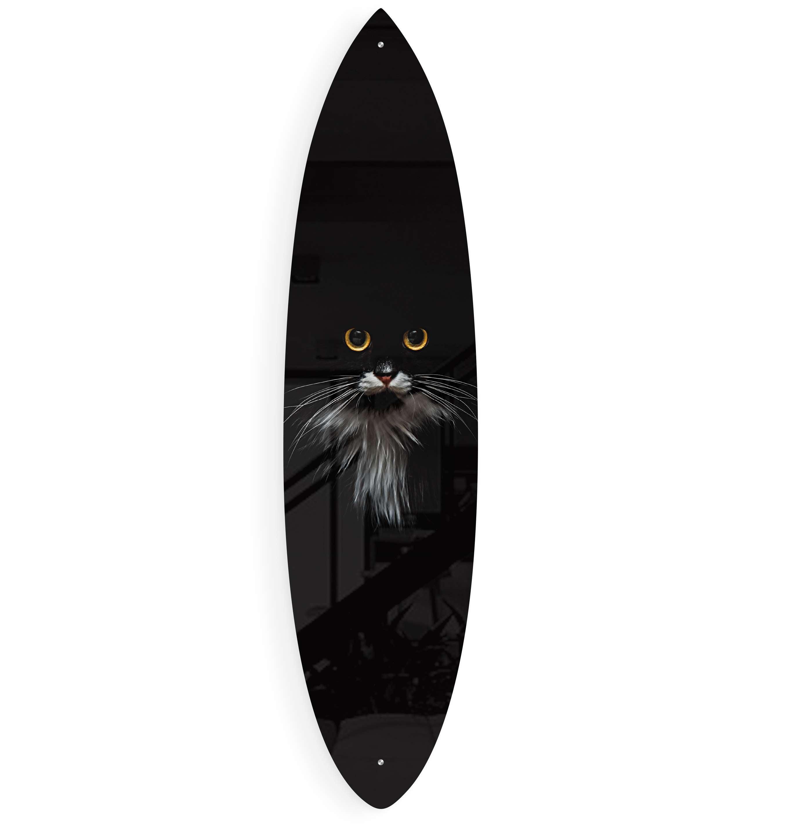 Black Cat Pattern Acrylic Surfboard Wall Art – uniqstiq