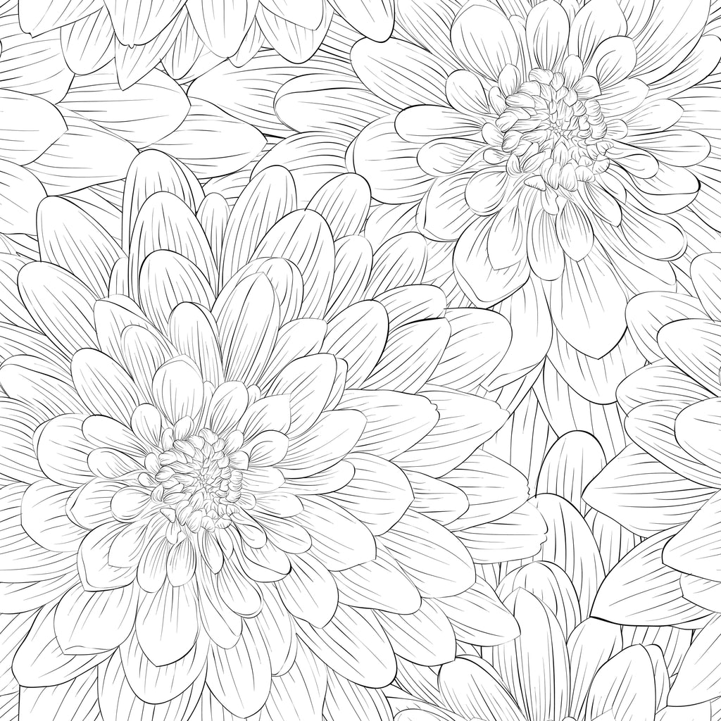 uniQstiQ Floral Black Dahlia Wallpaper Wallpaper