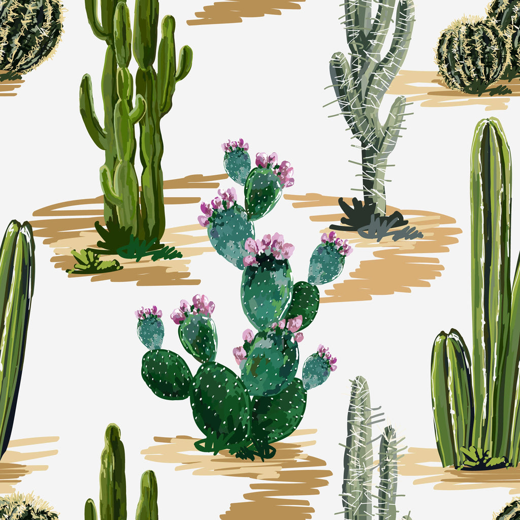 uniQstiQ Tropical Cactuses and Succulents on White Background Wallpaper Wallpaper