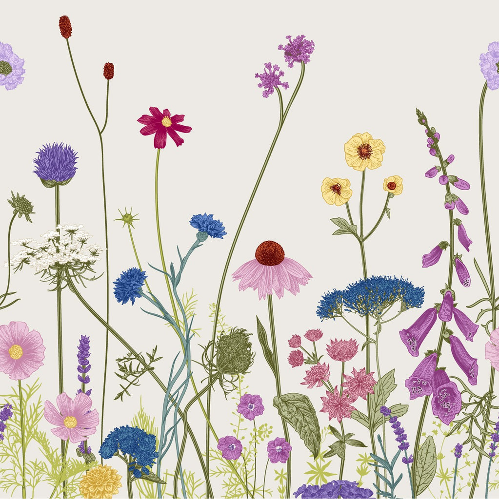 Wildflowers on White Background Wallpaper
