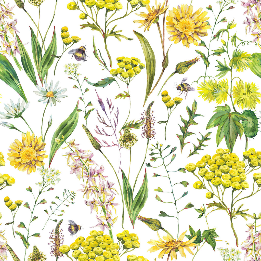 Yellow Wildflowers Wallpaper  uniQstiQ Floral