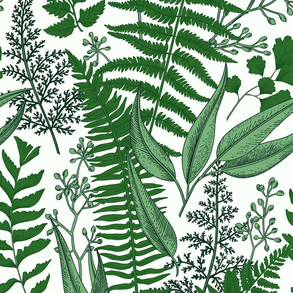 uniQstiQ Botanical Ferns Leaves on White Wallpaper Wallpaper