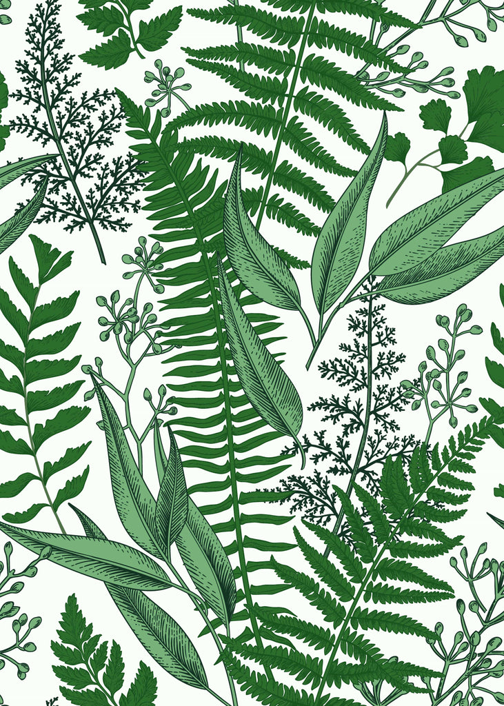 uniQstiQ Botanical Ferns Leaves on White Wallpaper Wallpaper