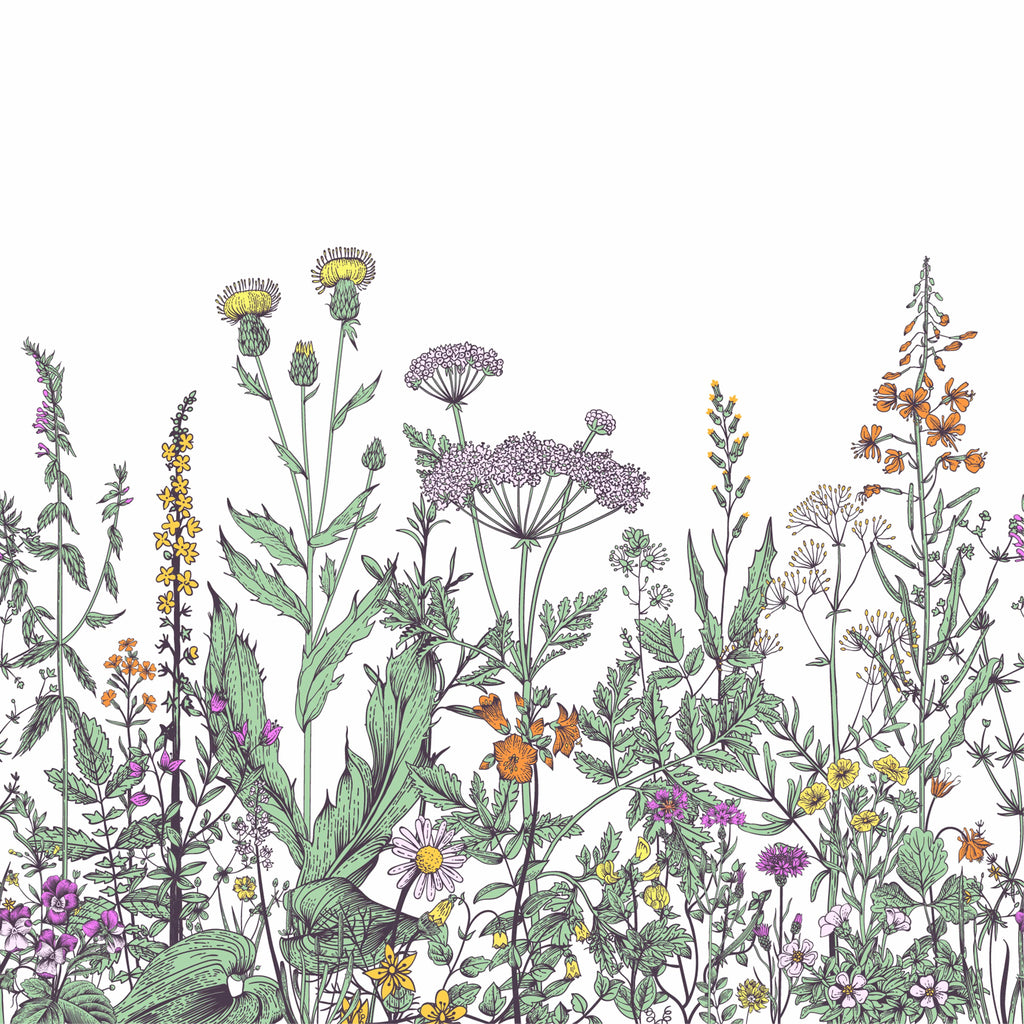 uniQstiQ Murals Field of Prairie Flowers Wallpaper Mural Wallpaper