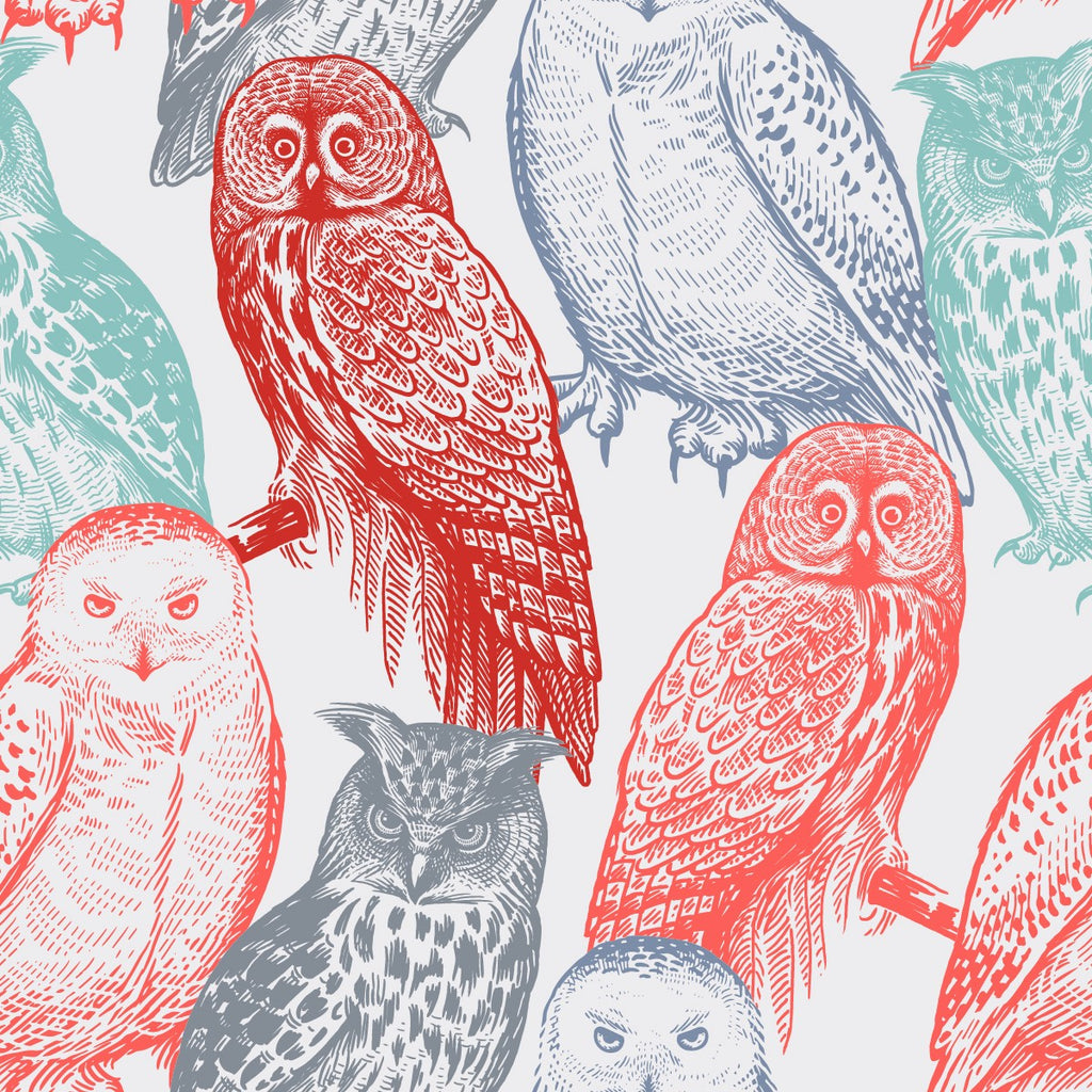 Multicolored Owls Wallpaper  uniQstiQ Kids