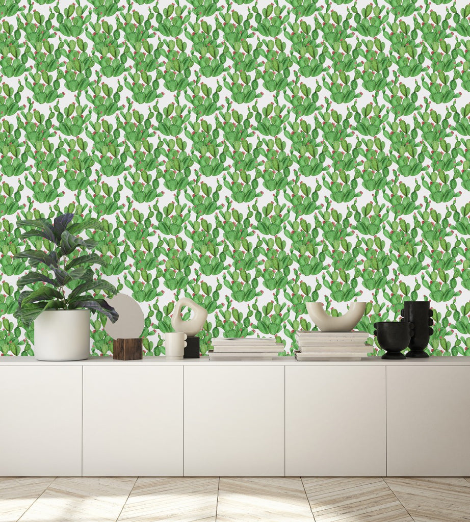 Green Cactus Wallpaper  uniQstiQ Tropical