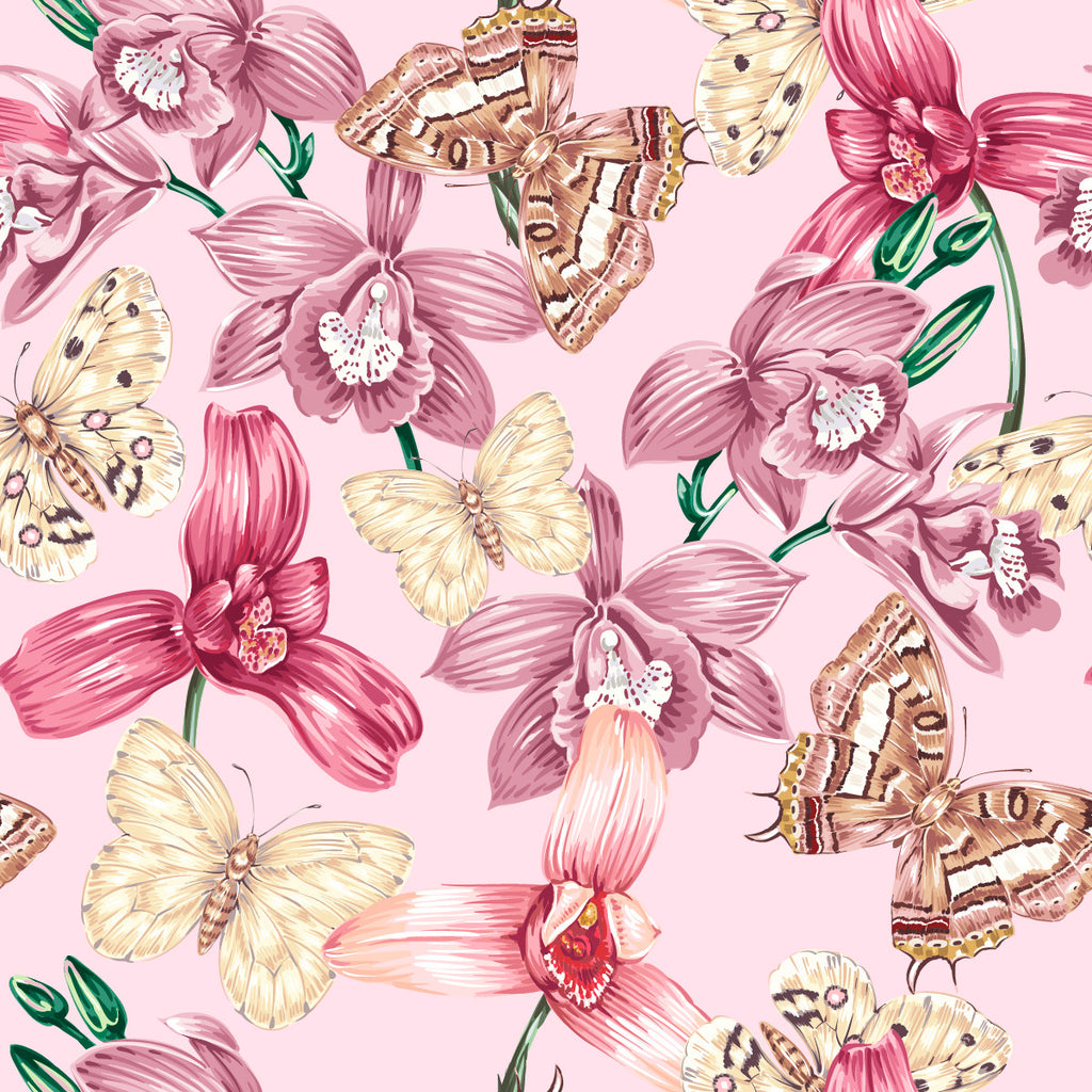 Pink Orchid Wallpaper  uniQstiQ Floral