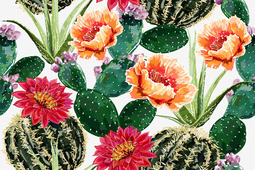 Cactus Flowers Wallpaper  uniQstiQ Long Murals
