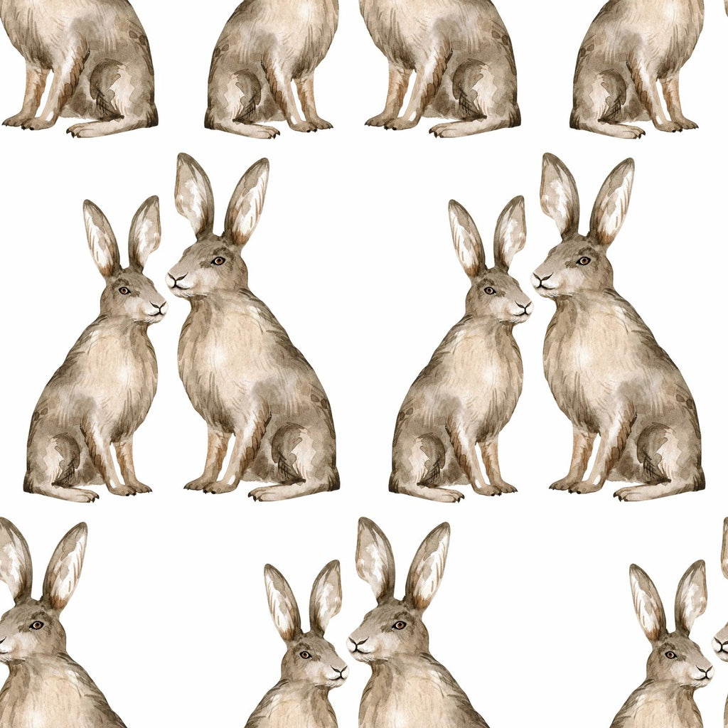 Hares Wallpaper for Kids