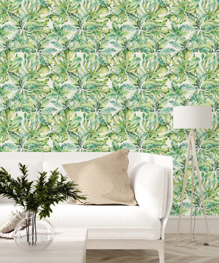 Green Leaves and Monstera Wallpaper  uniQstiQ Tropical