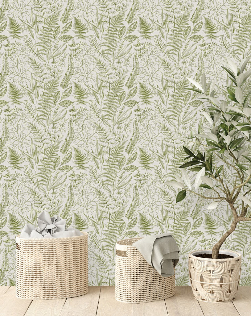 Green Ferns Wallpaper  uniQstiQ Botanical