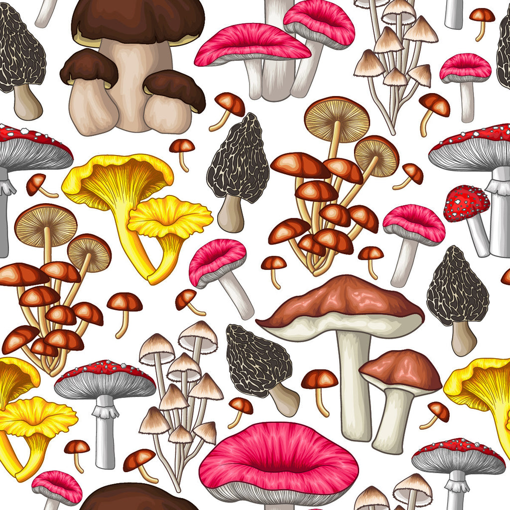Mushrooms Pattern Wallpaper uniQstiQ Kids