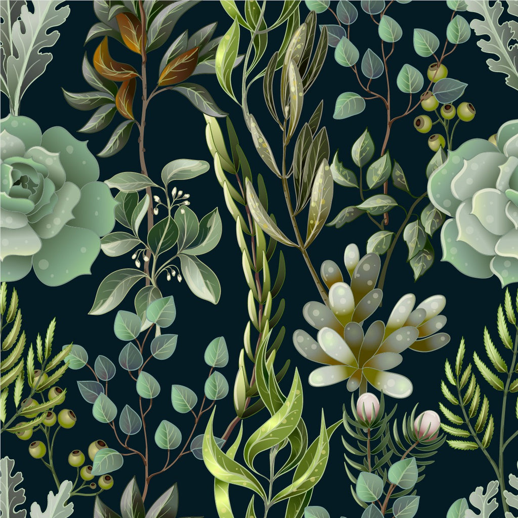 Succulent Plants  Wallpaper