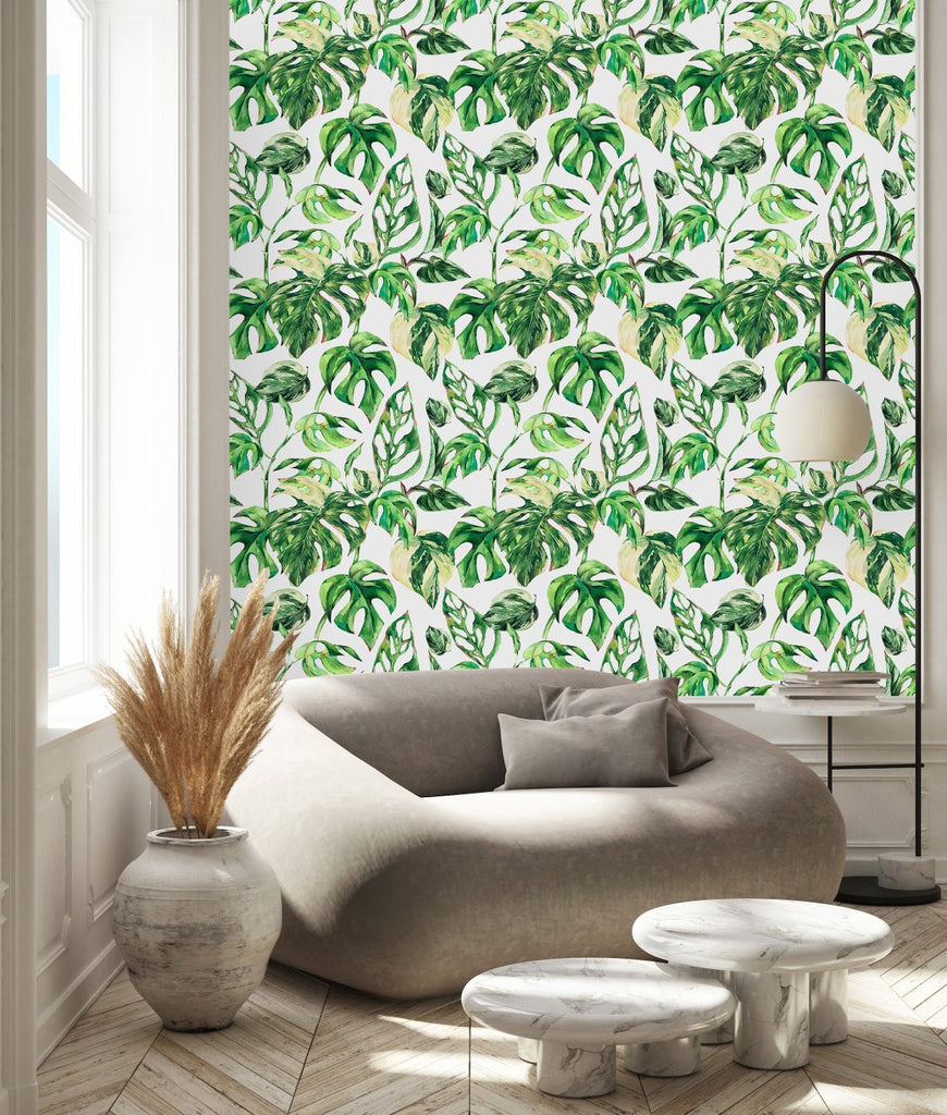 Green Monstera Wallpaper  uniQstiQ Floral