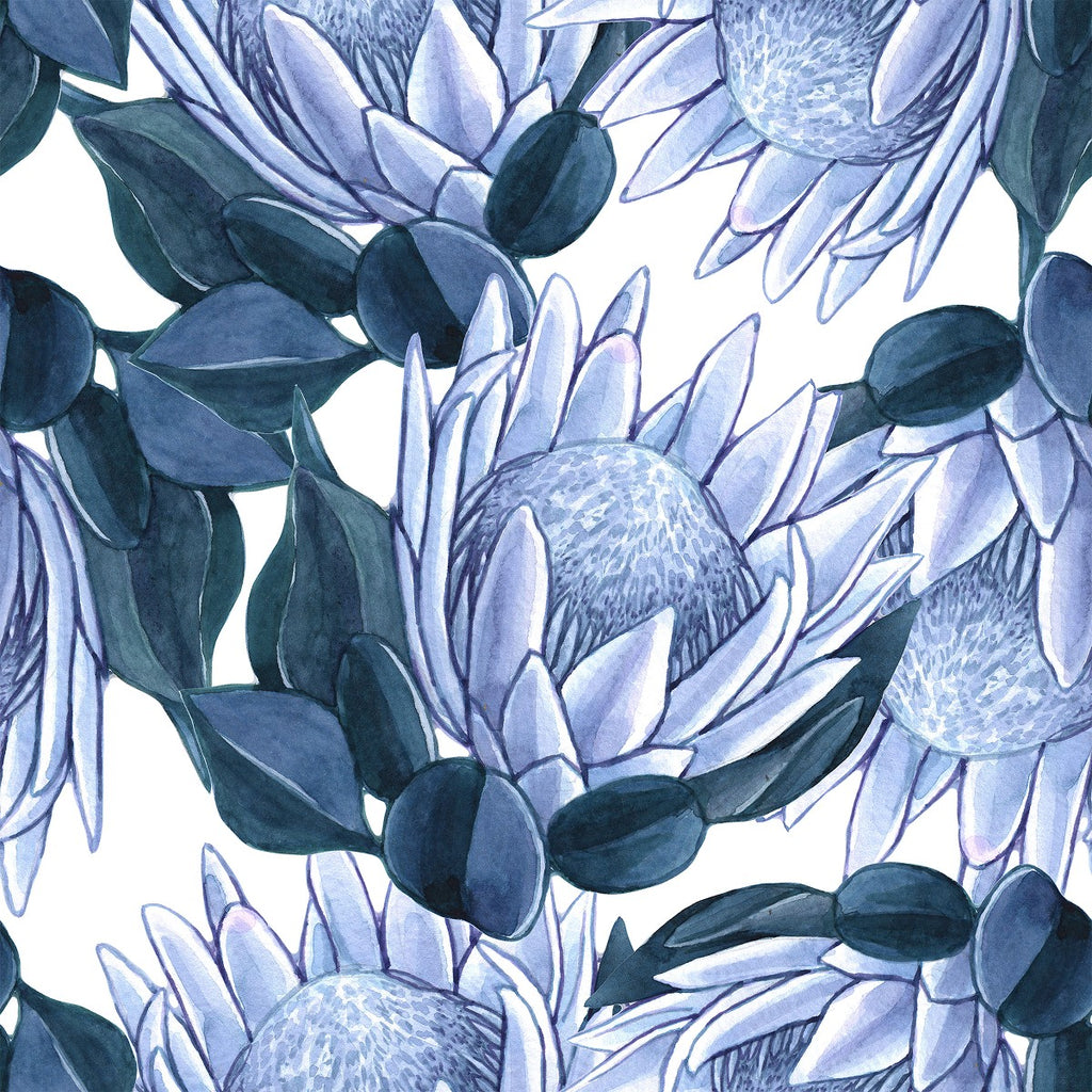 Blue Protea Wallpaper  uniQstiQ Floral